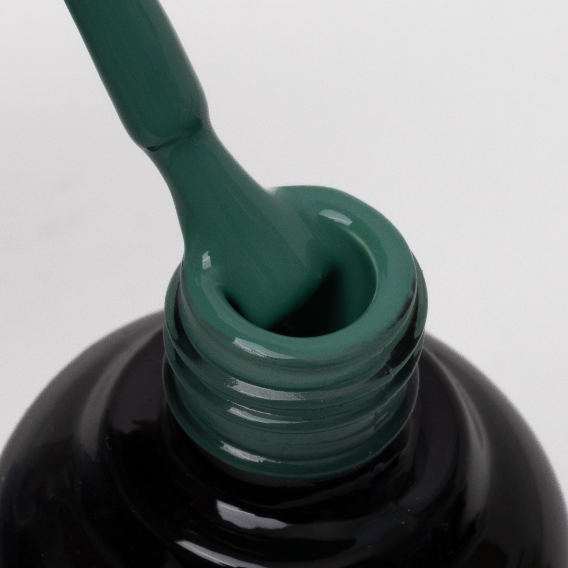 Evergreen Mist